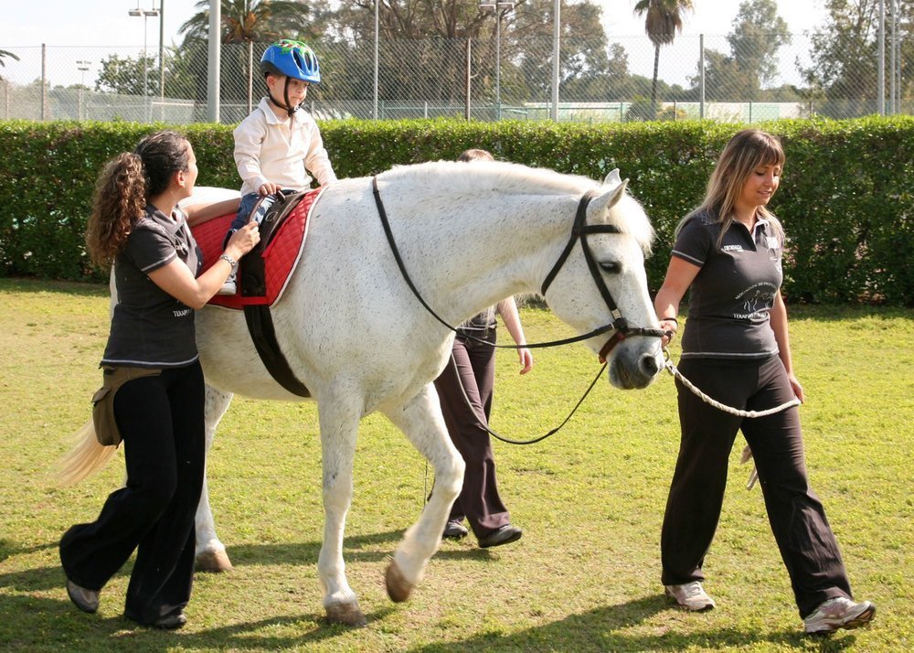 Equinoterapia